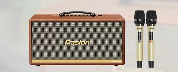 Loa di động Paramax Pasion 2