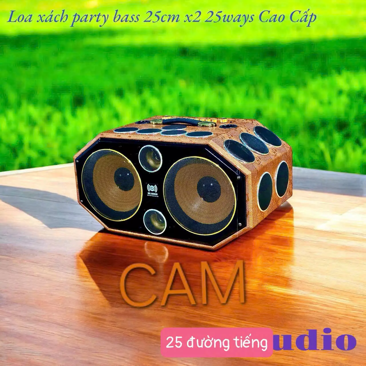 loa-xach-tay-25-duong-tieng-party6t