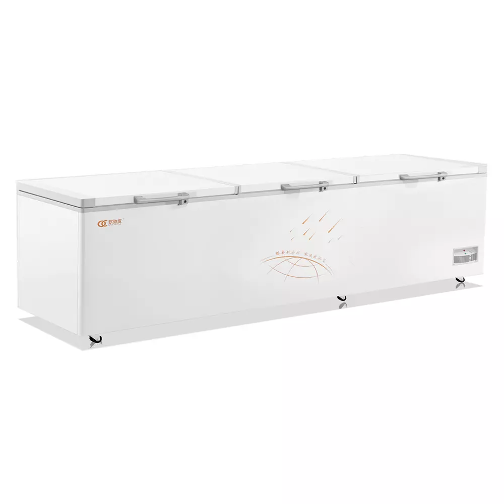 Tủ Đông OUCOLL BD/BC-1910