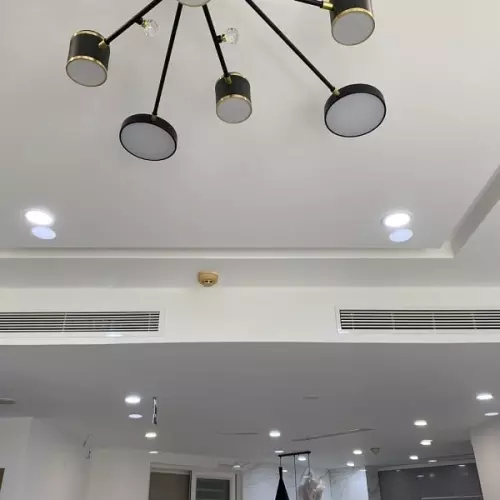 z57532297089479827b66fcd2cea4db08ed0bb037d884e-min-8010