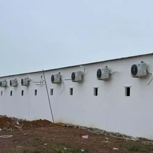 z6252950194976e6767bd1b5ea40232a778a55971d9668-min-9294