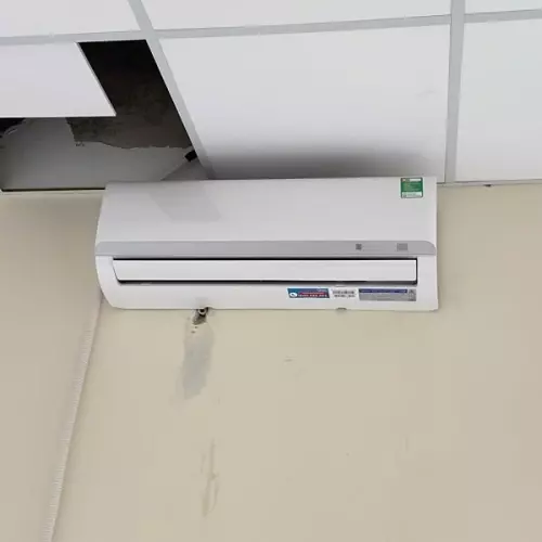 z6252947754044970dfc29427ce0d962a34a21af3eafab-min-2377