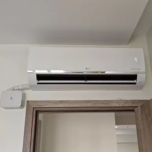 z57781004311063c133fea63dae12c50ad1f541d804cbd-3455