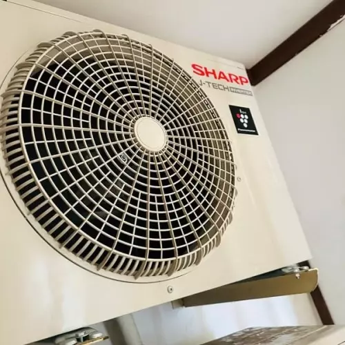 z60481459930705a235b8456ff4f79643c7de881c20d5e-min-3448